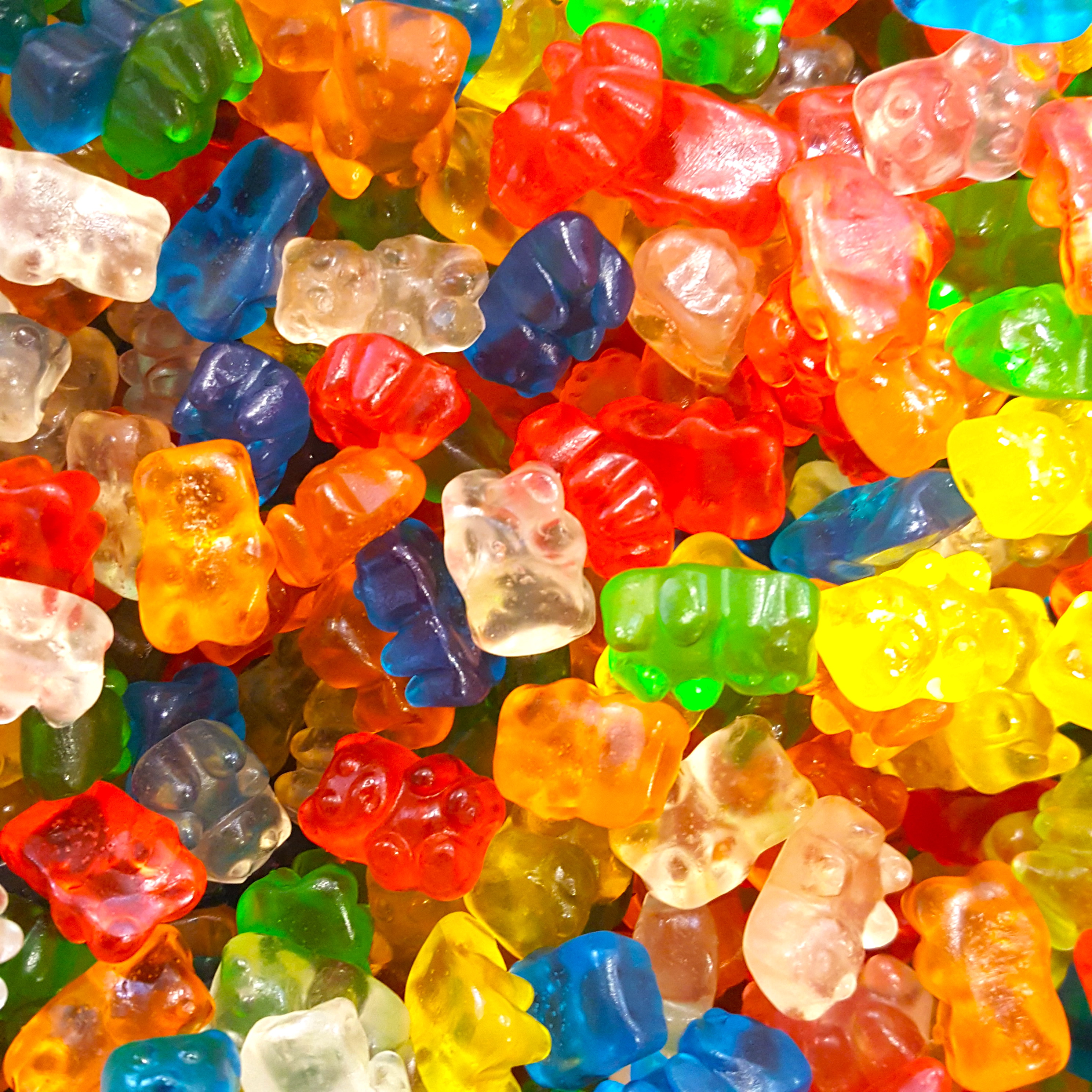 Top 91+ Pictures Pictures Of Gummy Bears Excellent
